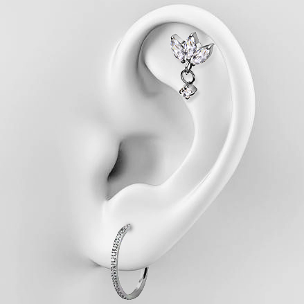 Пірсинг за видом проколу